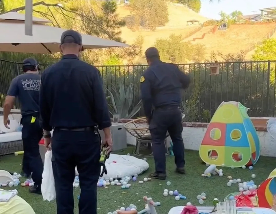 Large Rattlesnake Found Hiding Among Children’s Toys In Calabasas Backyard