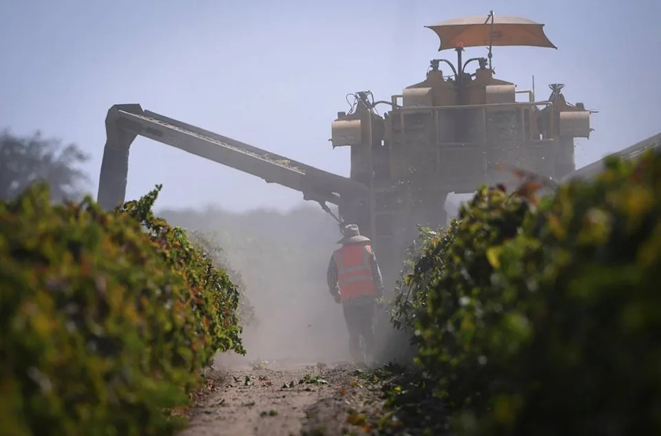 Central Valley Monitors About 150 Farmworkers After Exposure to Arizona Measles Outbreak