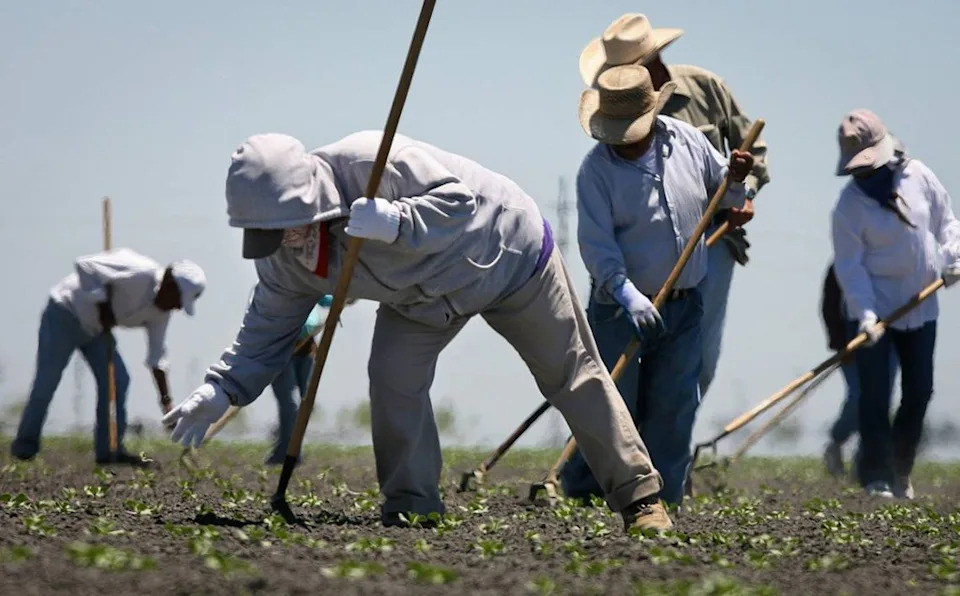 Central Valley Monitors About 150 Farmworkers After Exposure to Arizona Measles Outbreak