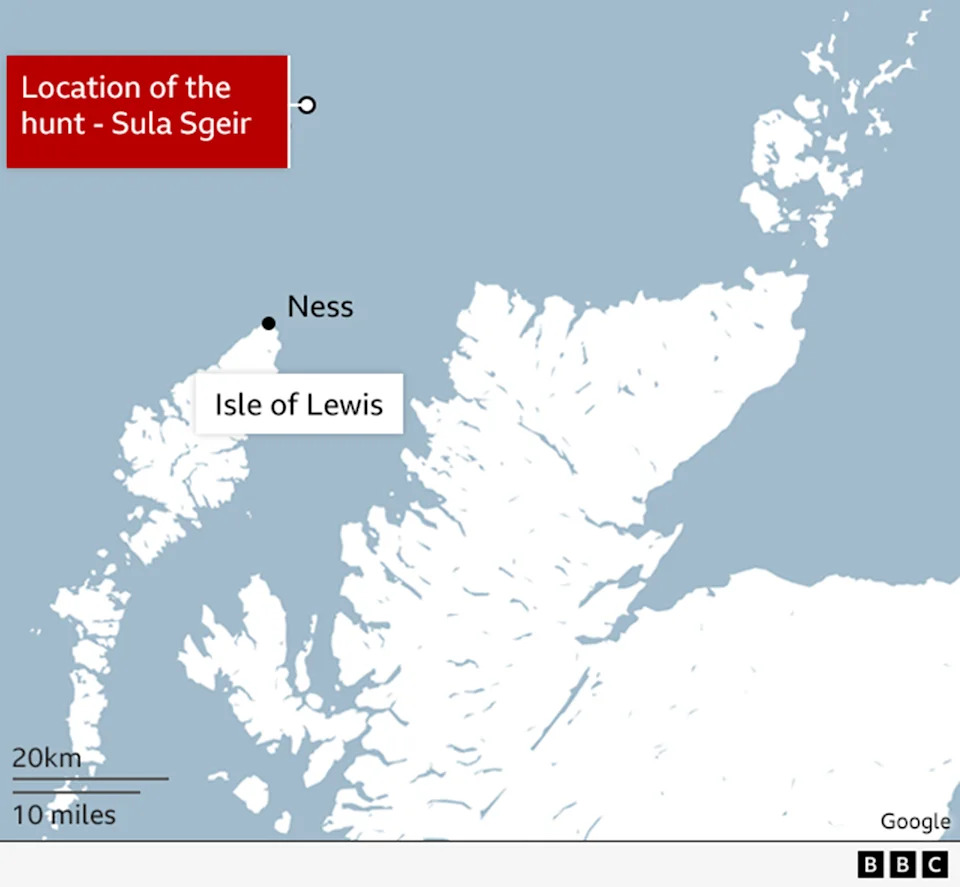 NatureScot Odbio Dozvolu Za Vekovni Guga Lov Na Sula Sgeir — Zabrinutost Za Populaciju Sule