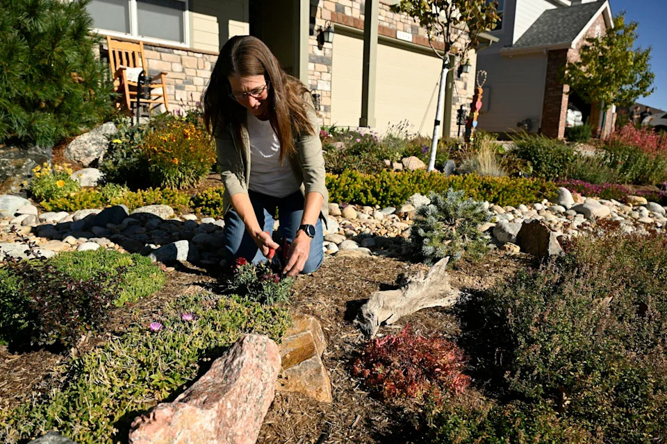 How HOAs Could Shift From Blocking To Enabling Sustainable Yards And Home Energy