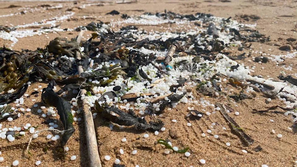 Volunteers Meet Port of Tyne Chief After Massive Nurdle Spill as Calls For Faster Cleanup Grow