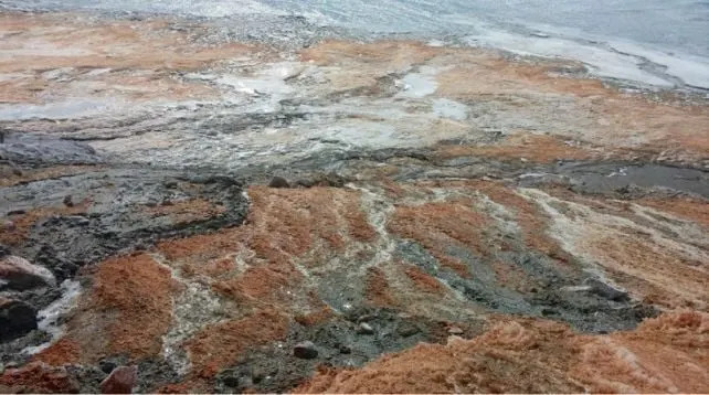 Drevni živi relikti ispod Blood Falls‑a: Aktivna zajednica eukariota stara najmanje 1,5 miliona godina