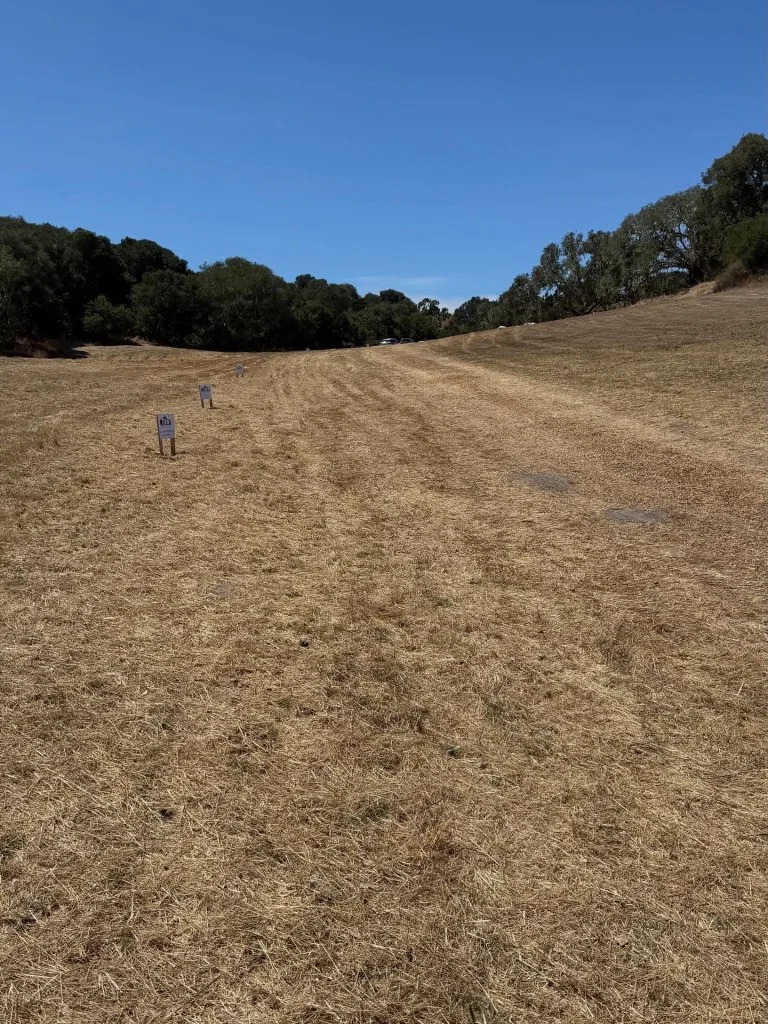 Big Sur Land Trust Transfers 84-Acre 'Hiss Parcel' to Ohlone/Costanoan-Esselen Nation