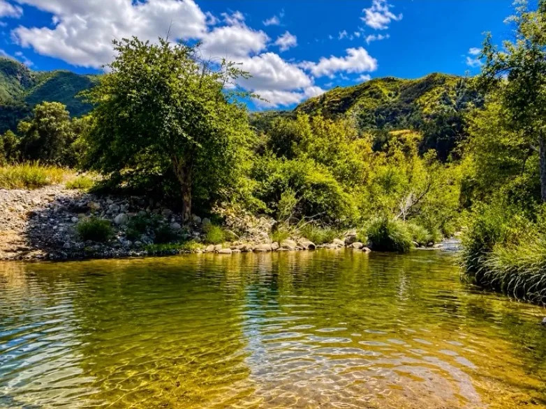 Big Sur Land Trust Transfers 84-Acre 'Hiss Parcel' to Ohlone/Costanoan-Esselen Nation
