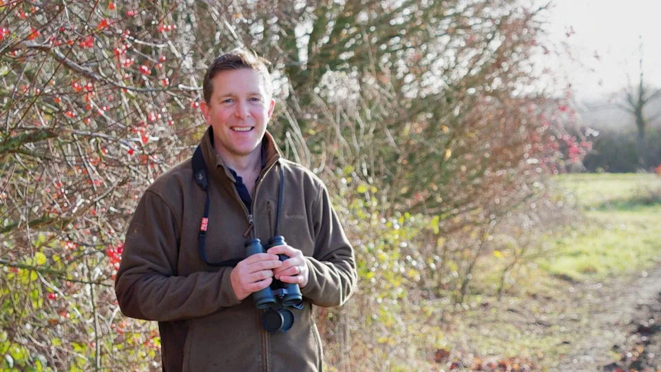‘Panic’ In The Hedgerows: Suffolk Blackberries Ripen Early After Extreme Heat