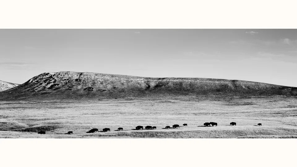 Mining Boom vs. Communities: Thacker Pass and America's Rush for Critical Minerals