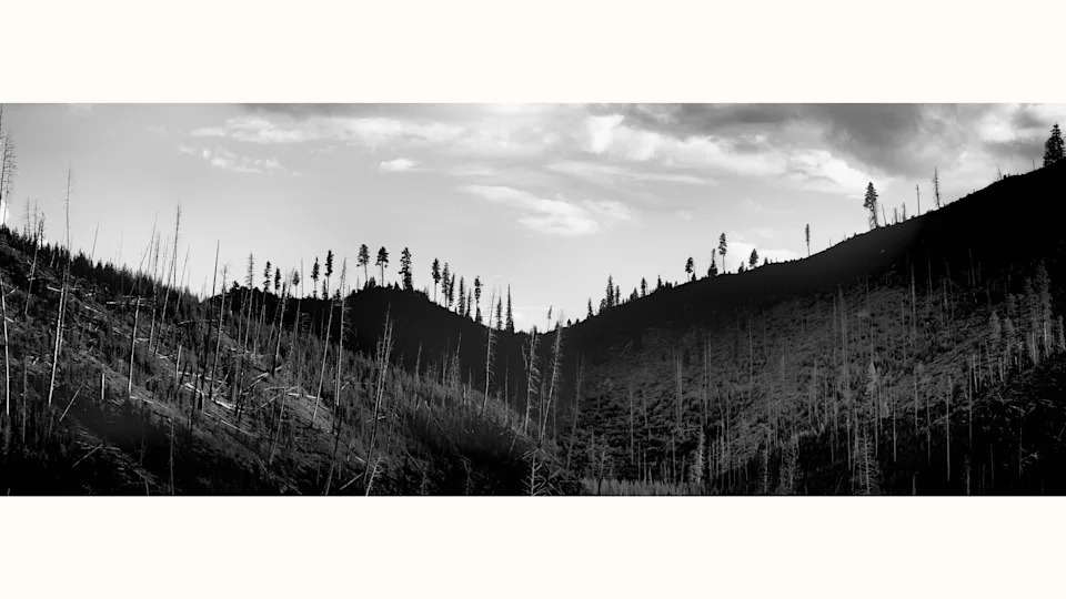 Mining Boom vs. Communities: Thacker Pass and America's Rush for Critical Minerals