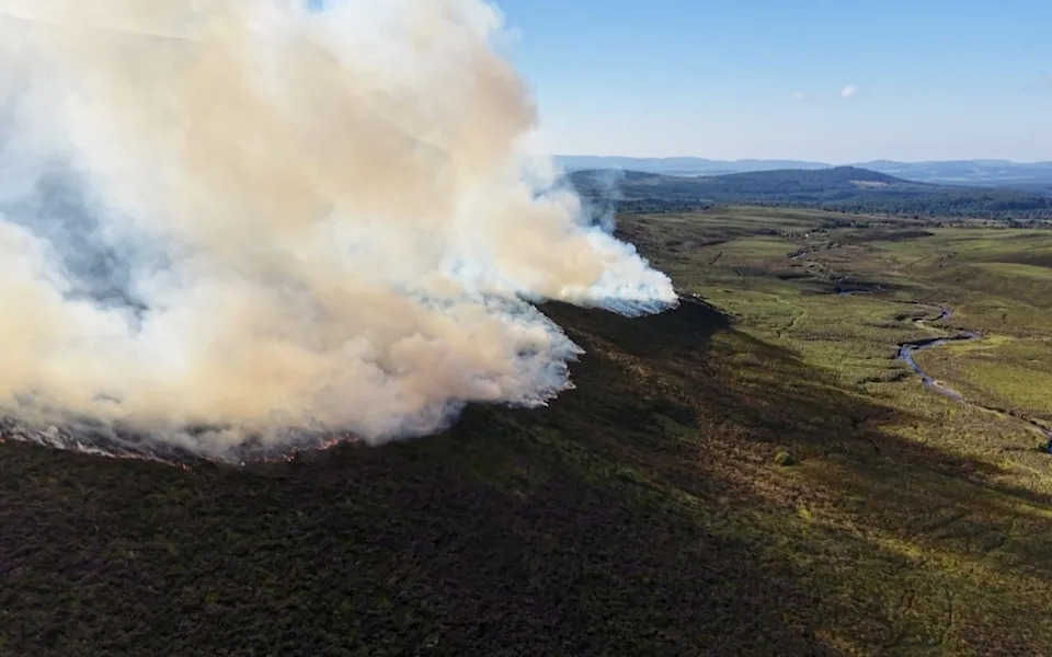 Rewilding i požari: kako napuštanje upravljanja povećava rizik i ko treba da snosi odgovornost