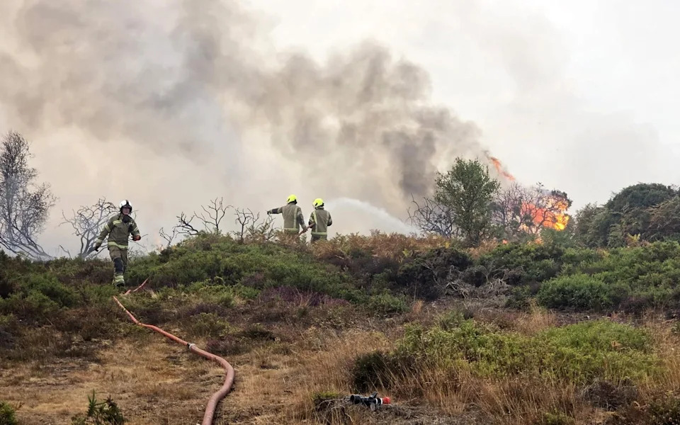 Rewilding i požari: kako napuštanje upravljanja povećava rizik i ko treba da snosi odgovornost