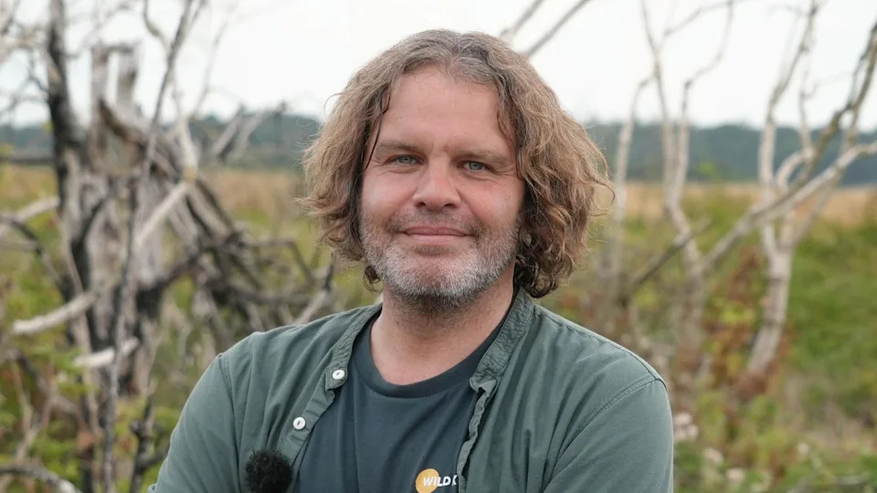 Nature Bounces Back: Wild Ken Hill’s Recovery Offers Hope After Devastating Heathland Fires