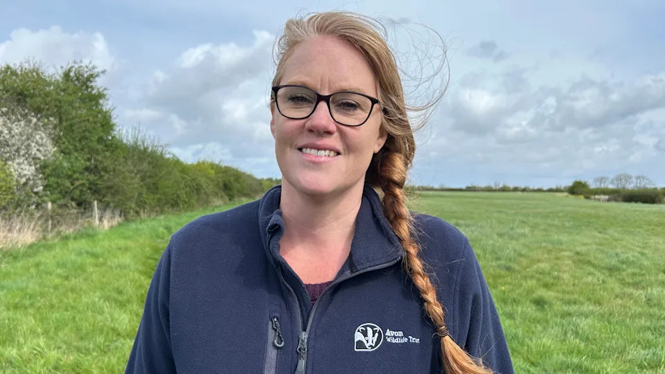 Ebdon Farm to Become 44-Acre 'Beacon of Hope' Wetland Nature Reserve After £5m Grant