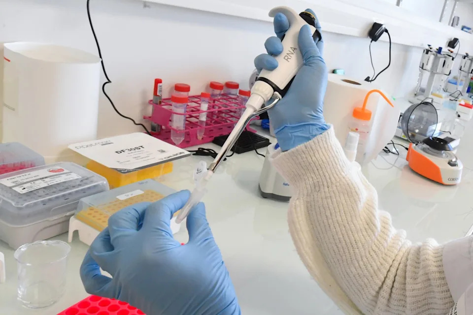 Indonezijski mRNA prototip vakcine protiv denge: naučnici i ministarstvo demantuju tvrdnje da menja DNK i da je „kontrolisana“ AI