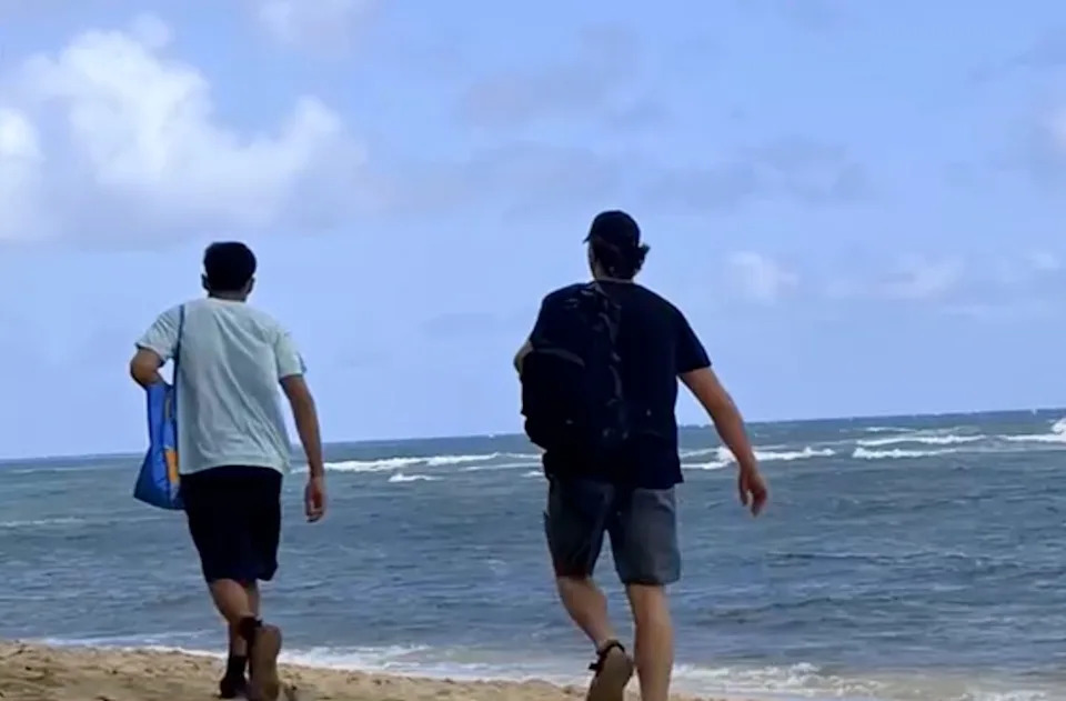 Authorities Seek Two Men After Rock Thrown at Endangered Hawaiian Monk Seal on Diamond Head Beach