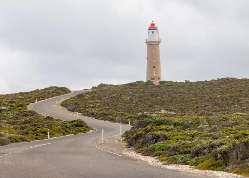Australija Ulaže 2,7 Miliona Dolara Za Potpuno Iskorenjivanje Feralnih Mačaka Na Kangaroo Islandu Do 2030.
