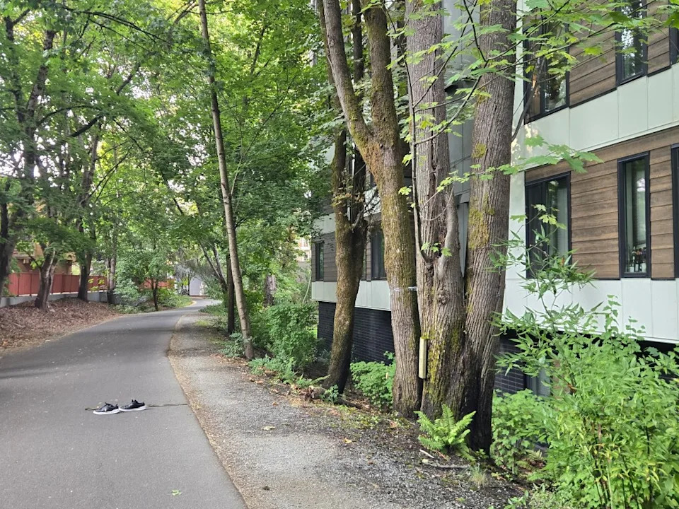 UCLA Sorority Sister Dies After Falling From Seattle Apartment; Family Questions Circumstances