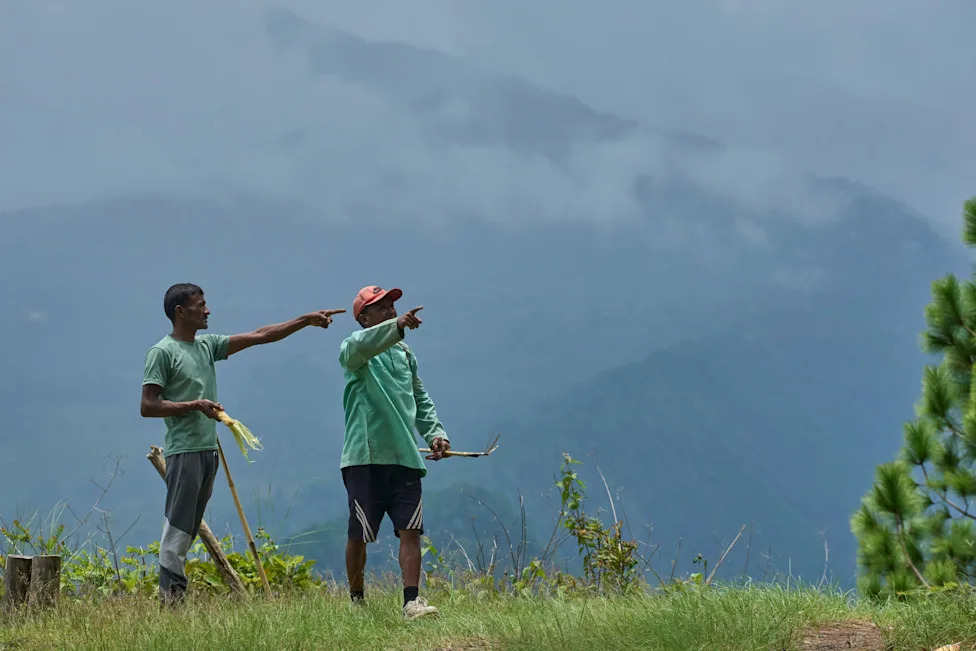 Crop‑Raiding Macaques Devastate Nepal's Rural Farms — Villagers Keep Watch at Dawn