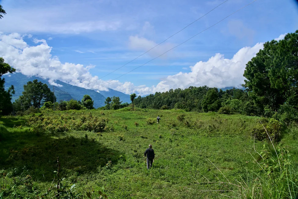 Crop‑Raiding Macaques Devastate Nepal's Rural Farms — Villagers Keep Watch at Dawn