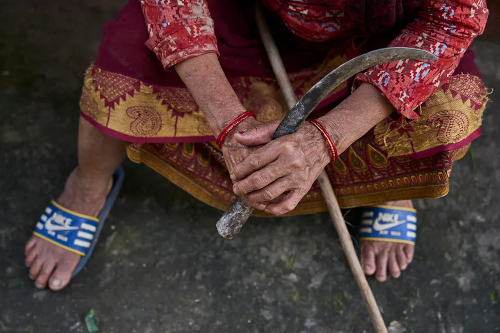 Crop‑Raiding Macaques Devastate Nepal's Rural Farms — Villagers Keep Watch at Dawn