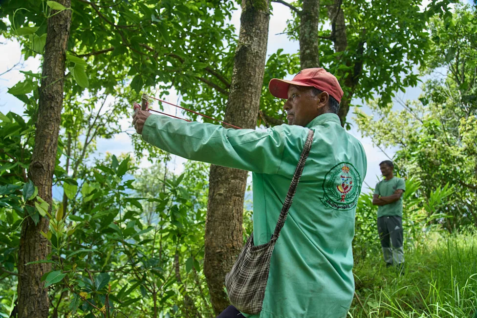 Crop‑Raiding Macaques Devastate Nepal's Rural Farms — Villagers Keep Watch at Dawn