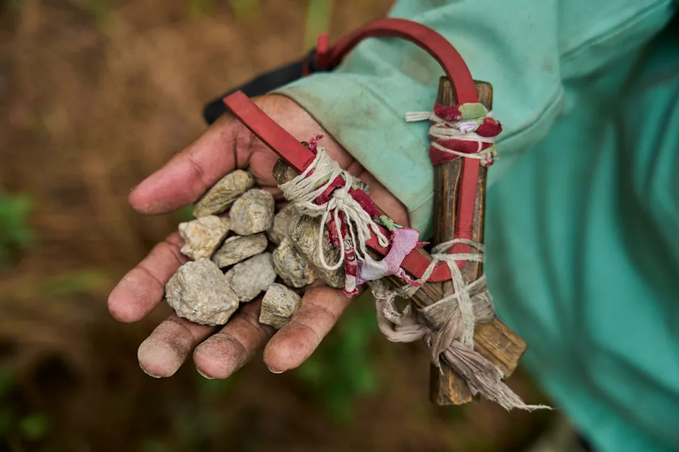 Crop‑Raiding Macaques Devastate Nepal's Rural Farms — Villagers Keep Watch at Dawn