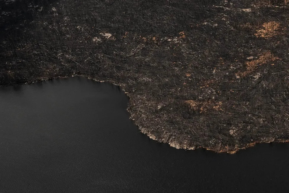 Klimatske promene udvostručile verovatnoću velikih požara u Kanadi, pokazuje studija; Tramp krivi loše upravljanje šumama