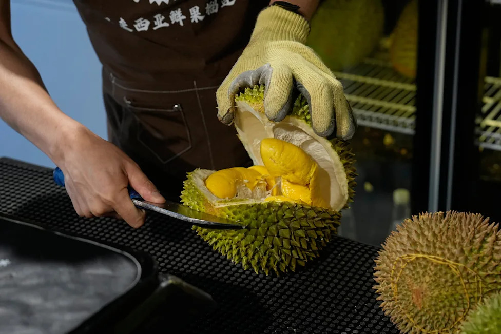 Under Pressure: Malaysian Durian Growers Battle Climate Change and Rising Costs While Chasing China’s Booming Market