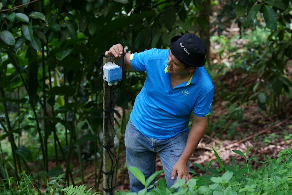 Under Pressure: Malaysian Durian Growers Battle Climate Change and Rising Costs While Chasing China’s Booming Market