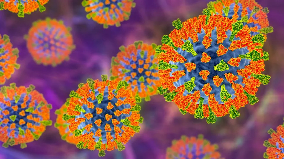 Measles Exposure at Universal Studios Hollywood After Infected Visitor Spent 11 Hours in Park