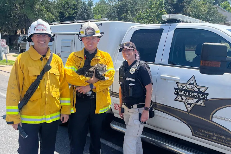Toast Malone: Cat Found Alive More Than 72 Hours After Devastating Utah Apartment Fire, Reunited With Owners