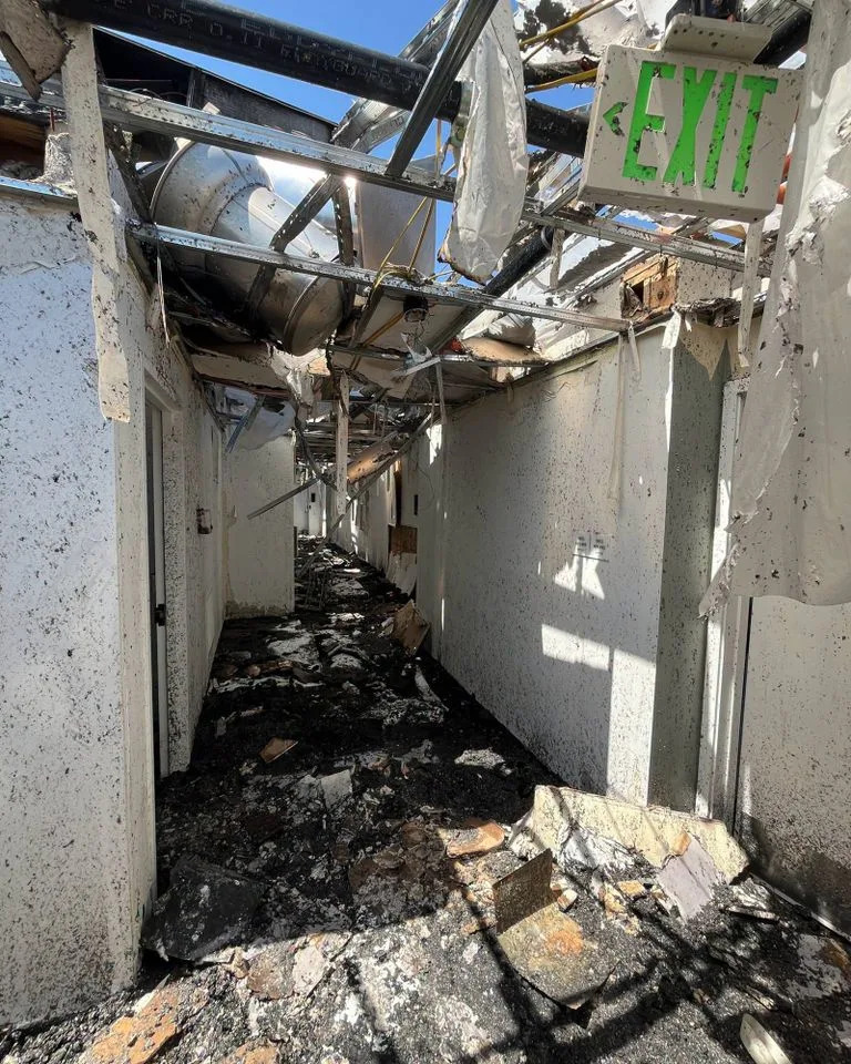 Toast Malone: Cat Found Alive More Than 72 Hours After Devastating Utah Apartment Fire, Reunited With Owners