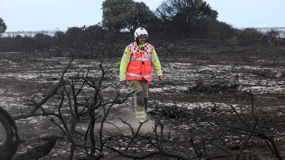 Dunwich Heath Appeal Raises £350,000 in Four Days After Devastating Wildfire