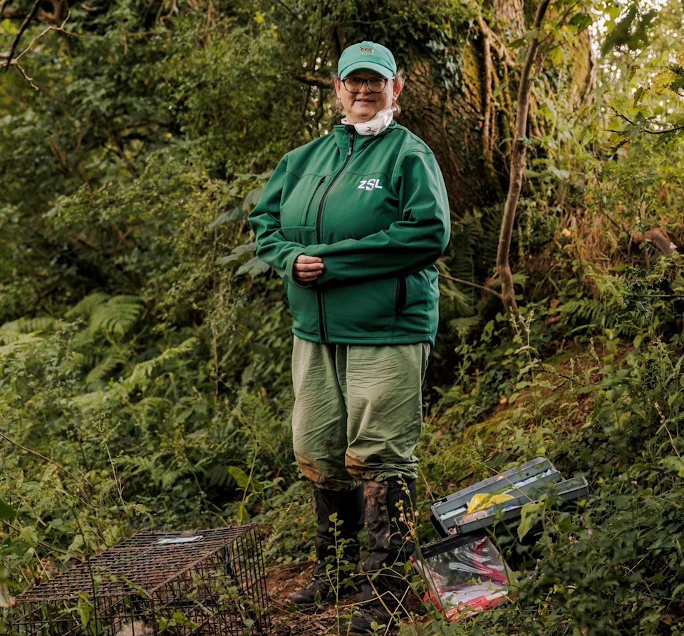 England Reboots Its Badger Strategy: Vaccination, New Costs and a Fragile Political Deal