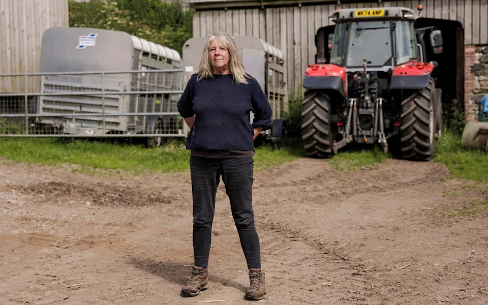 England Reboots Its Badger Strategy: Vaccination, New Costs and a Fragile Political Deal