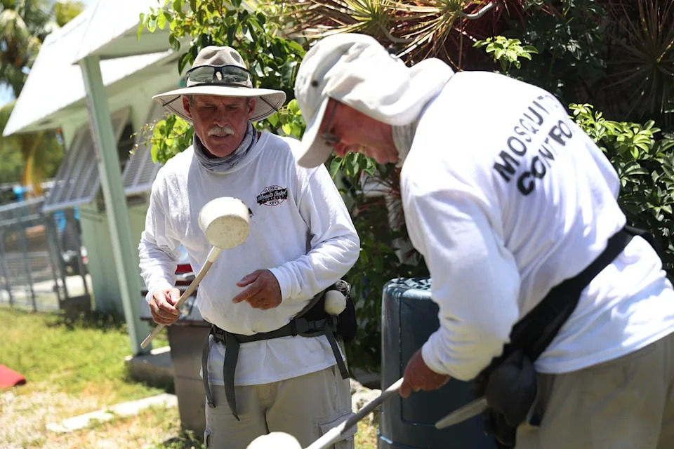 Dengue-Carrying Mosquitoes Are Spreading Across the U.S. — Where To Be Alert