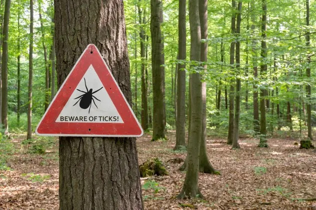 Bourbon Virus Confirmed on Long Island as Tick Season Peaks