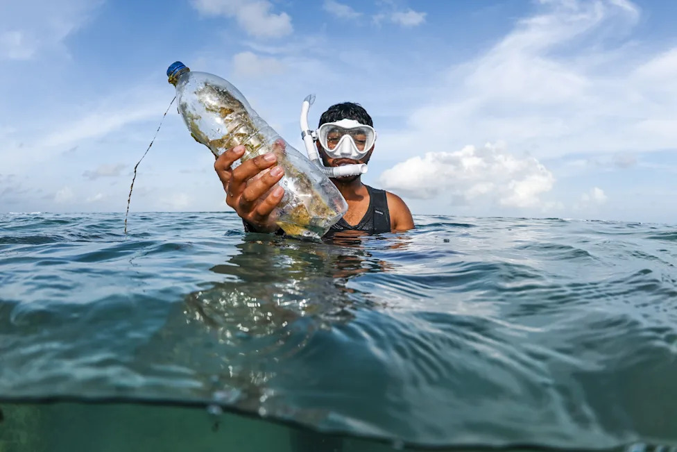 Kajacima protiv „ecocida“: Mladi aktivisti na Maldivima brane mangrove i budućnost ostrva