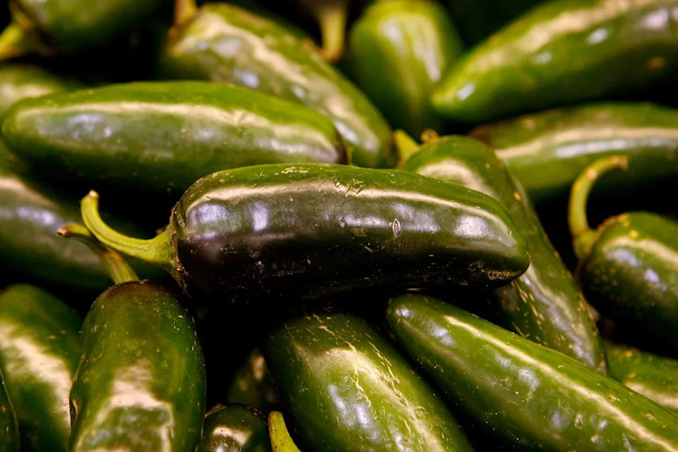 Woman Sues Chipotle, Says Burrito Bowl Contained Salmonella-Linked Jalapeños That Led To Sepsis