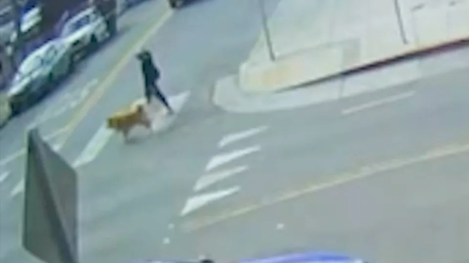 Very Young Child Driving in Oakland Crash Leaves Woman Critically Injured, Police Say