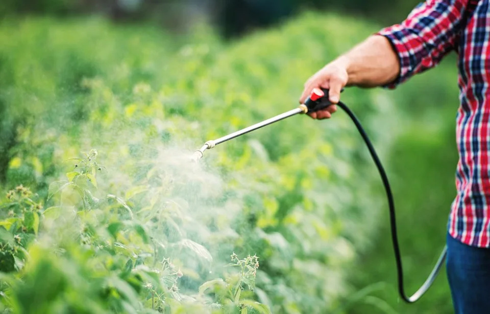 Orange County School District Pauses Pesticides Amid Community Fears Over Rare Childhood Cancer Cluster