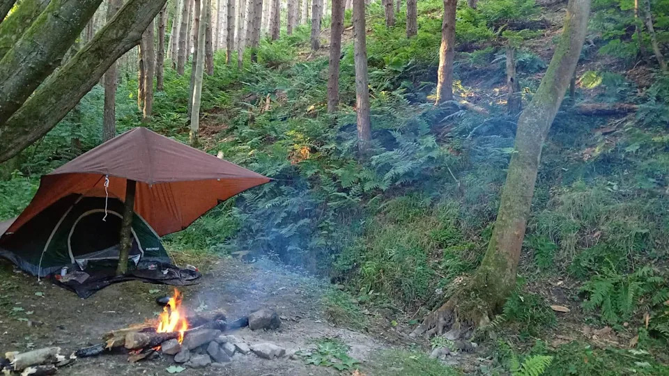 Ex‑Soldier Spent 15 Weeks Camping in Woodland While Waiting for Social Housing