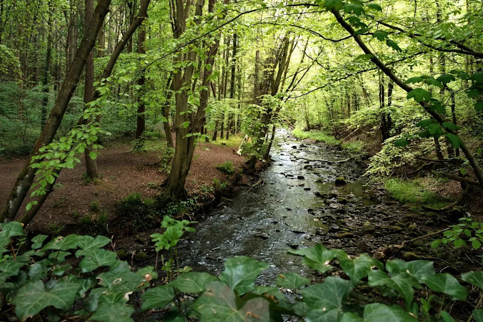 Tragedy at Gore Glen: 11-Year-Old Girl Found Dead in River; Police Call Death 'Unexplained'