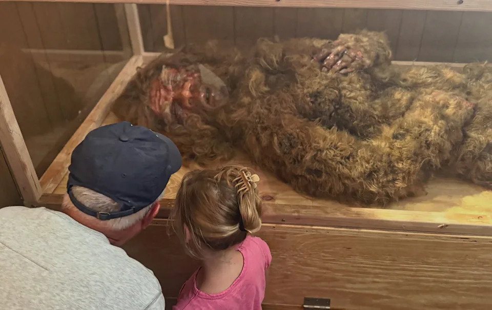 Bigfoot Hunter Threatens $10M Lawsuit After Cornell Denies DNA Tests on 'Dack'