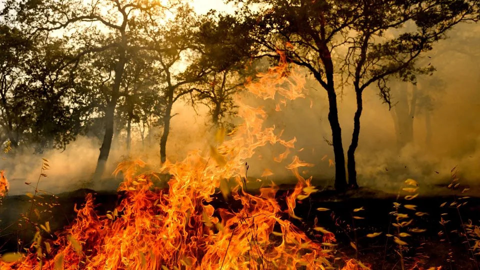 Tramp Odbacuje Klimatske Promene — Požari Pokazuju Zašto će Se Situacija Pogoršavati