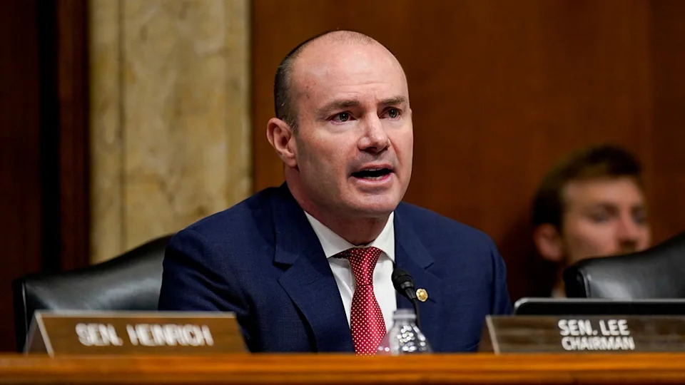 Schumer Says Democrats Back Voter ID — Yet Senate Democrats Oppose GOP Amendment
