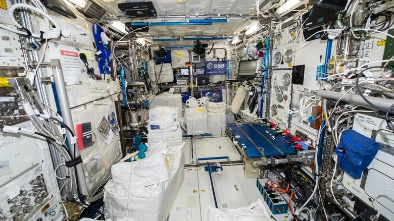 Kako svemirske misije menjaju čulo mirisa astronauta — zašto mirisi na ISS‑u blede, a na Zemlji postaju «opojni»