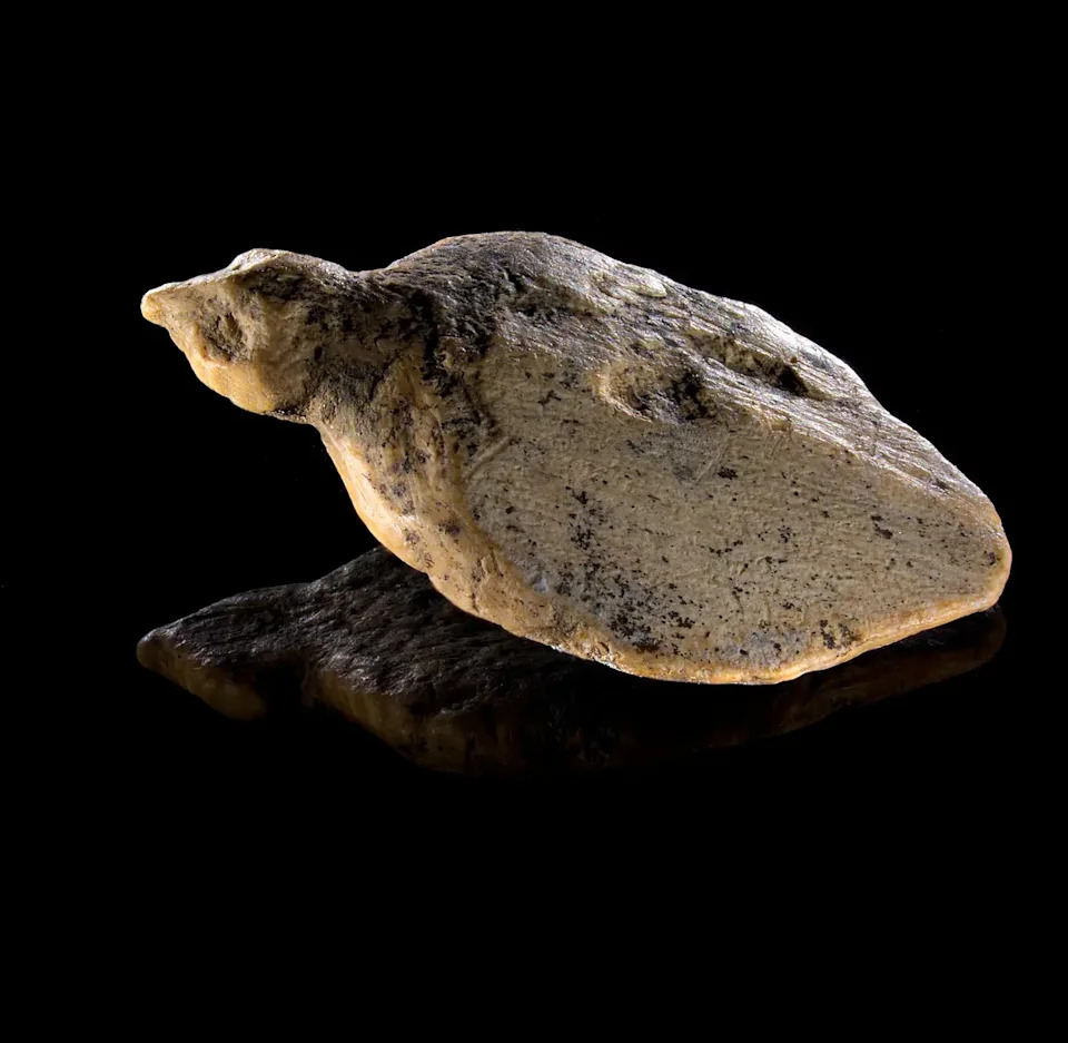Tiny Mammoth-Ivory Bird Figurines From Ice Age Unearthed at Hohle Fels