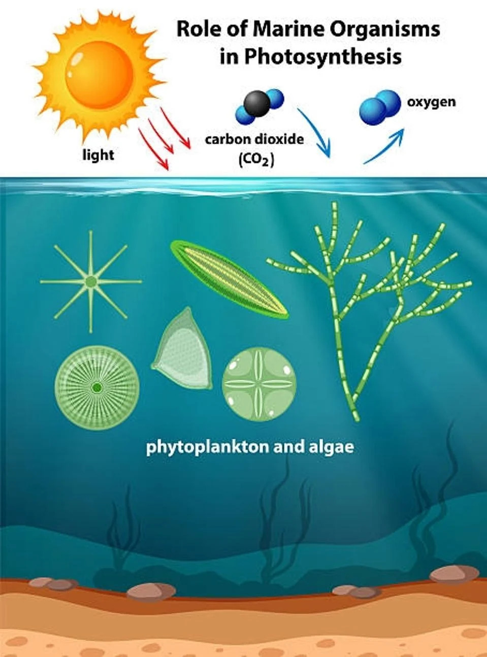 Emerging Water Solutions for Carbon Reduction and Ecosystem Recovery