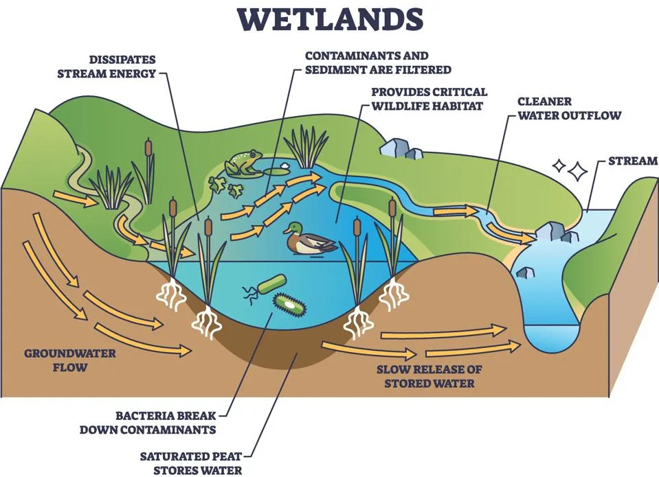 Emerging Water Solutions for Carbon Reduction and Ecosystem Recovery