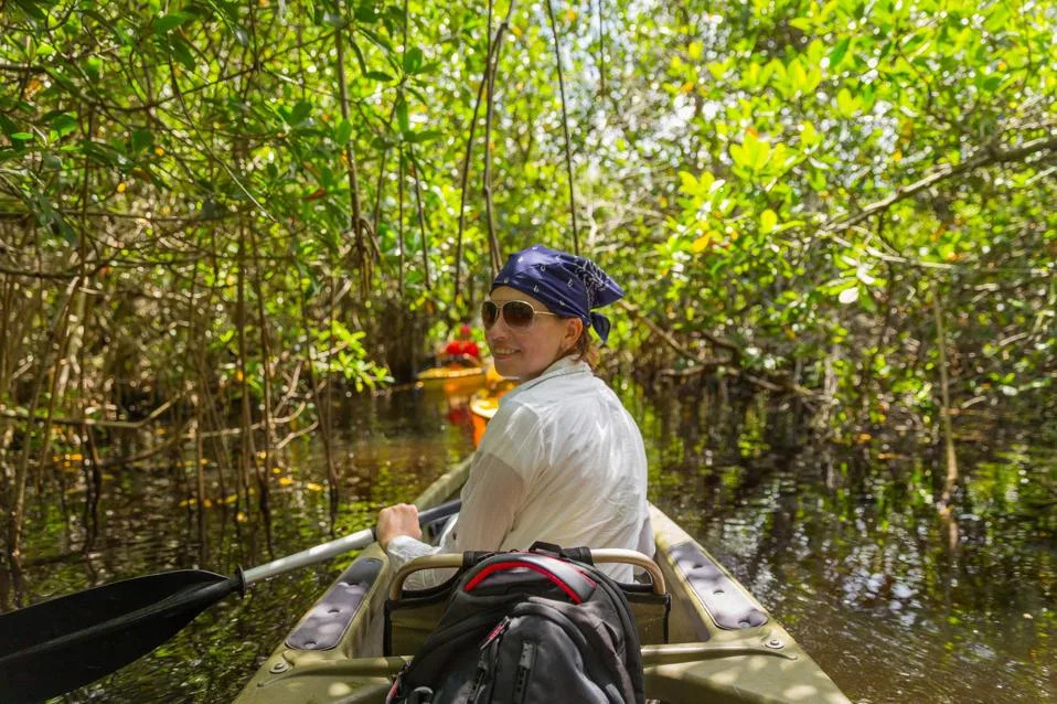 Emerging Water Solutions for Carbon Reduction and Ecosystem Recovery